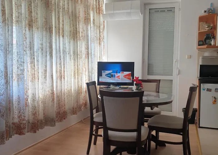 Sunny Sanny Parking Free Napospart