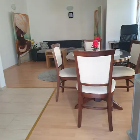 Sunny Sanny Parking Free Apartment