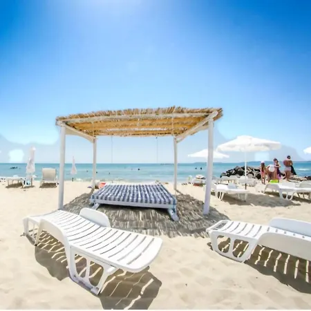 Sunny Sanny Parking Free *