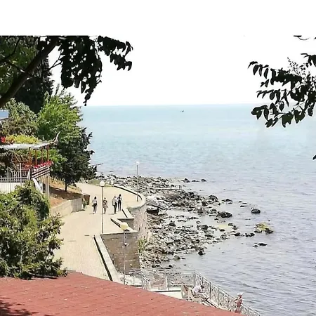 Sunny Sanny Parking Free *