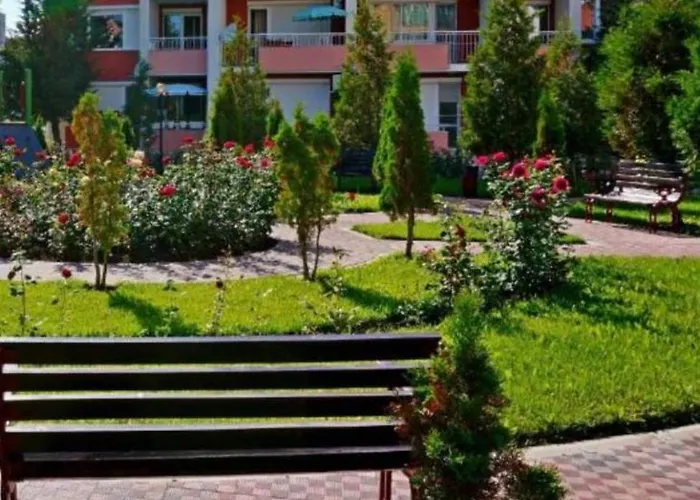 Sunny Sanny Parking Free *