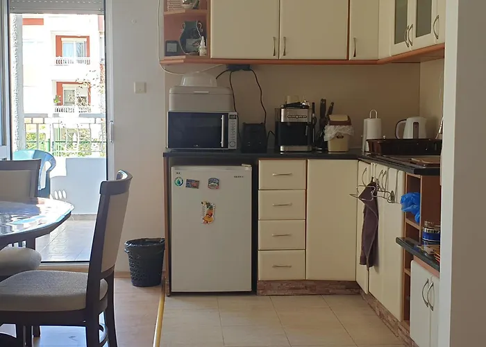 Sunny Sanny Parking Free *